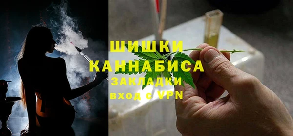 дмт Белокуриха