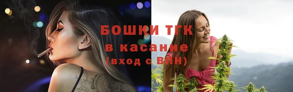 ПСИЛОЦИБИНОВЫЕ ГРИБЫ Белоозёрский