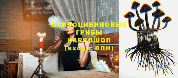 ПСИЛОЦИБИНОВЫЕ ГРИБЫ Белоозёрский
