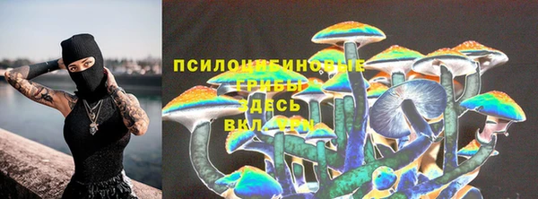 дмт Белокуриха